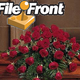 Illustration for article titled Say Goodbye To FileFront